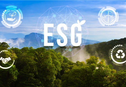Sustainability and ESG services